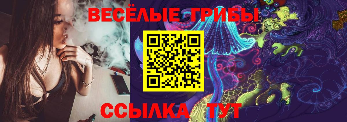 купить наркотики цена  Псилоцибиновые грибы MAGIC MUSHROOMS  Вход с VPN  Урюпинск 